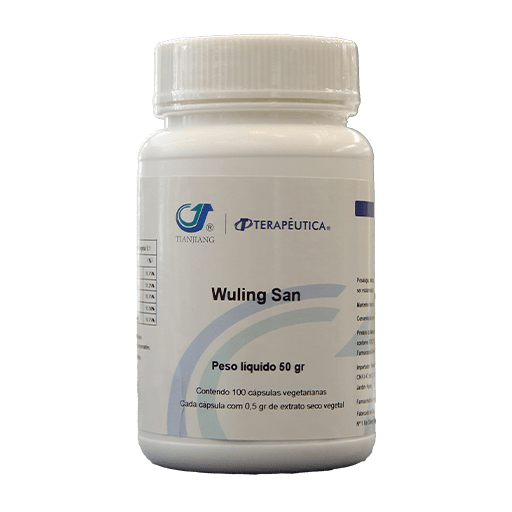 Imagem do Wuling san